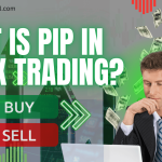 what is pip in forex trading?